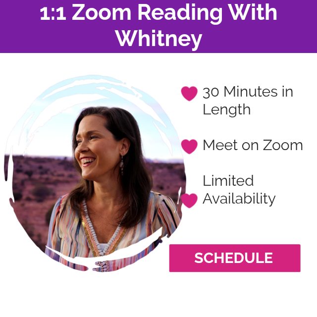 LIVE Reading